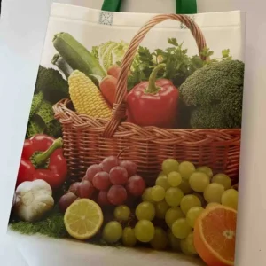 GEANTA NETESUTA 30*34*12CM