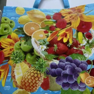 GEANTA NETESUTA 45*35*15CM