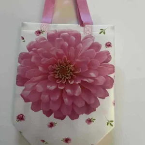 GEANTA NETESUTA 22*23*11CM