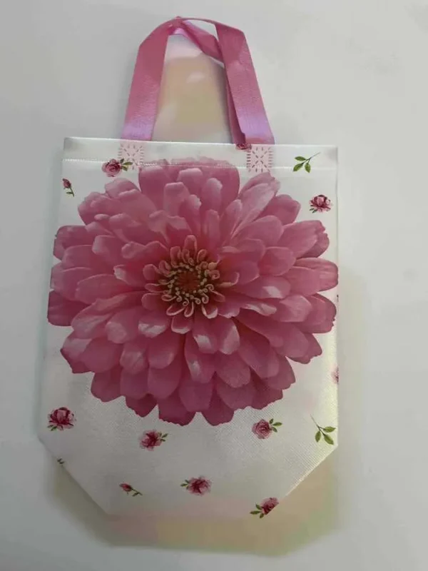 GEANTA NETESUTA 22*23*11CM