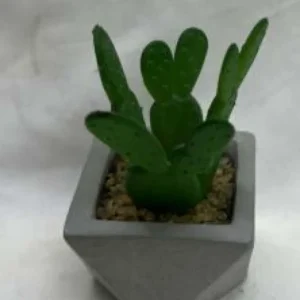 5*9CM -  FLORI ARTIFICIALE GHIVECI 5*9CM