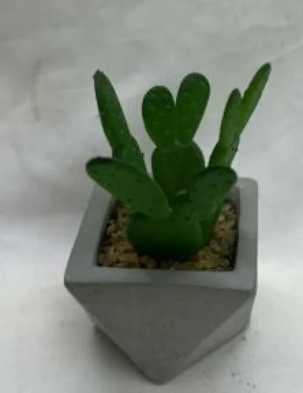 5*9CM -  FLORI ARTIFICIALE GHIVECI 5*9CM