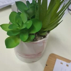 FLORI ARTIFICIALE GHIVECI