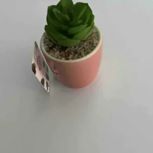 6.5CM - GHIVECI FLORI ARTIFICIALE