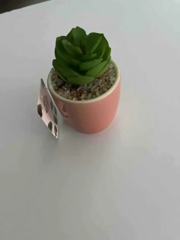 6.5CM - GHIVECI FLORI ARTIFICIALE