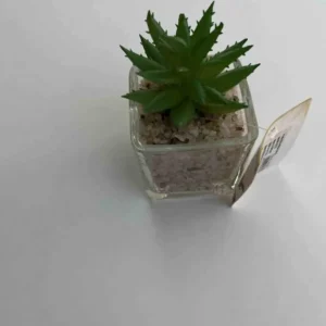 GHIVECI  FLORI ARTIFICIALE 5*5CM