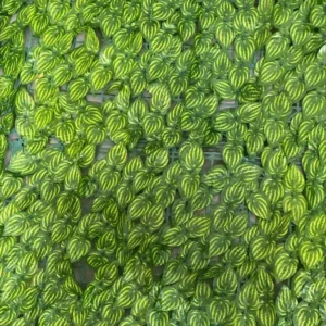 100*300CM - PANOU ARTIFICIAL