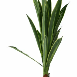 Plantă Artificială Cu Ghiveci (Verde)