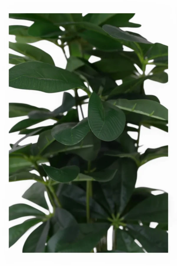 Plantă Cu Ghiveci - imagine 3