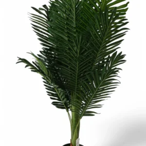 Plantă Artificială (1.1M)