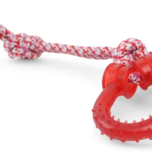 Sfoară Cu Plastic Dur Jucărie Pentru Animale (Roșu)