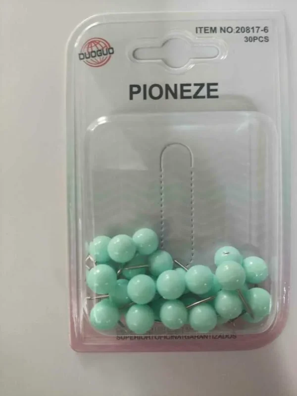 30PCS - PIONEZE PANOU