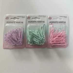 25PCS - AGRAFE HARTIE