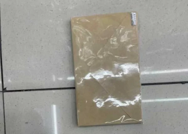PLIC  11*16CM/10PCS