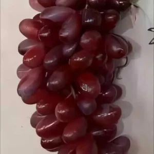 FRUCTE SIMULATE 21CM