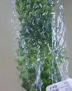 PLANTA ARTIFICIALA CU GHIVECI 50CM