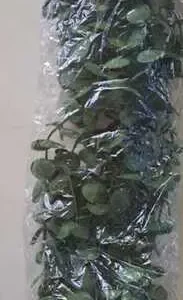 60CM - PLANTA ARTIFICIALA CU GHIVECI 60CM