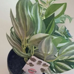PLANTA ARTIFICIALA CU GHIVECI 45CM