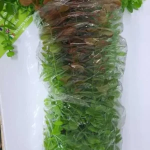 70CM - FLOARE ARTIFICIAL