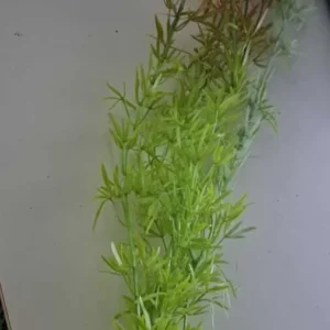 70CM - PLANTA ARTIFICIALA 70 CM