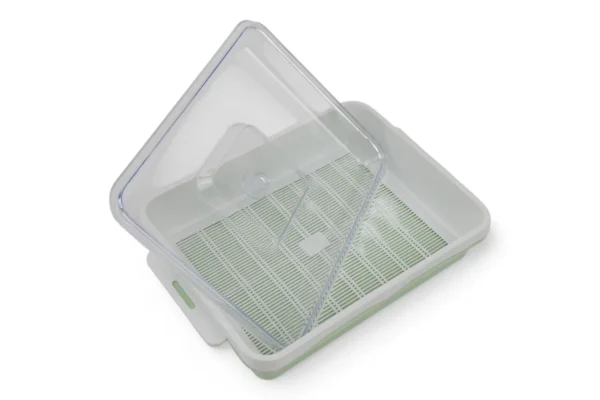 Cutie De Depozitare Pentru Frigider (Verde) - imagine 2