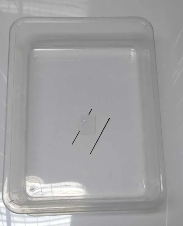 TAVA PLASTIC 35*26*6.5CM