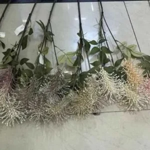 80CM - PLANTA SUMULATE 80CM