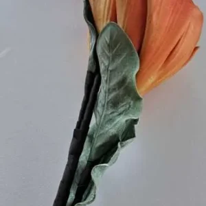 86CM-FLORI SIMULATE 86CM