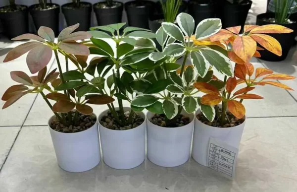 FLORI ARTIFICIALE GHIVECI  21CM