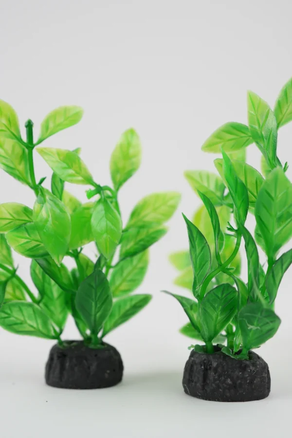 Plante Decorative Pentru Acvariu (Verde/Mov 9Cm)