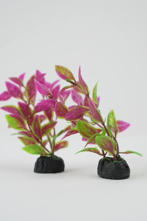 Plante Decorative Pentru Acvariu (Verde/Mov 9Cm) - imagine 2