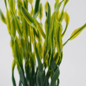 Plante Decorative Pentru Acvariu (Alb, Roz)