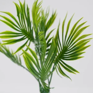 Plante Decorative Pentru Acvariu (Verde, 15Cm)