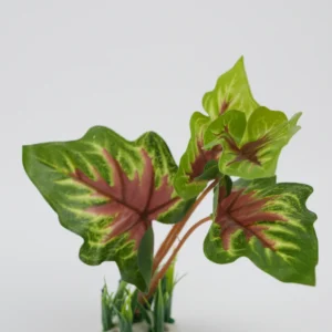 Plante Decorative Pentru Acvariu (Verde, 16Cm)