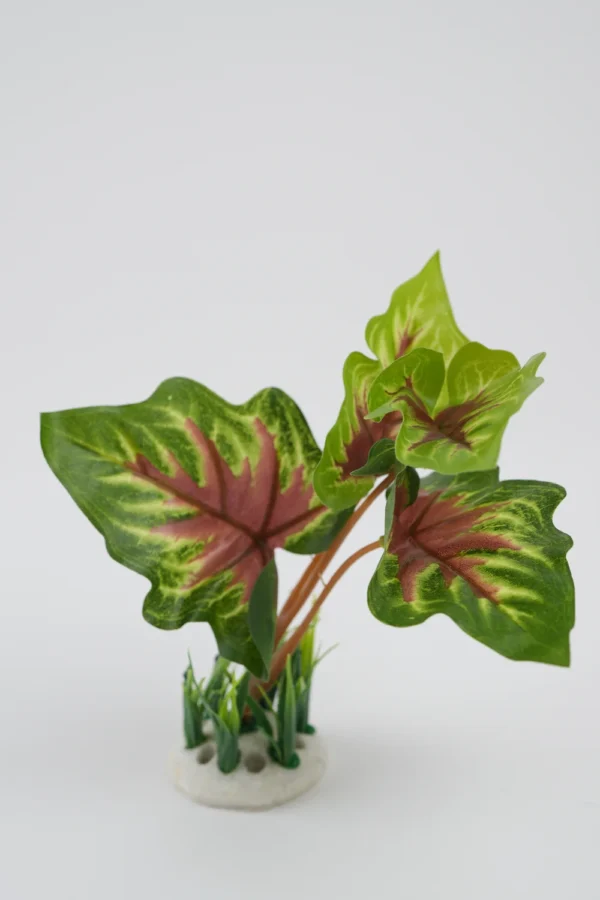 Plante Decorative Pentru Acvariu (Verde, 16Cm)