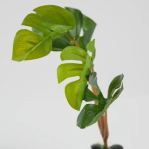 Plante Decorative Pentru Acvariu (Verde, 14Cm)