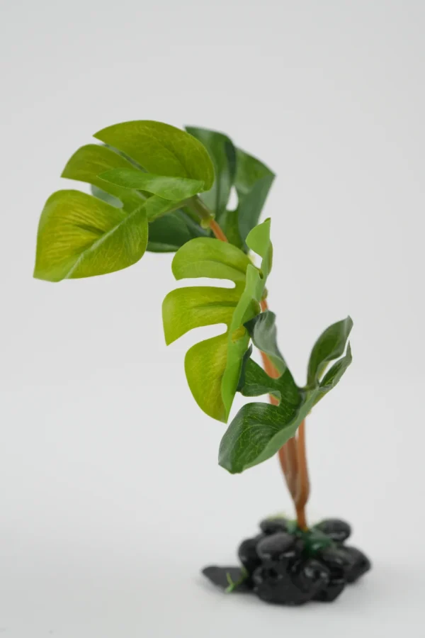 Plante Decorative Pentru Acvariu (Verde, 14Cm)