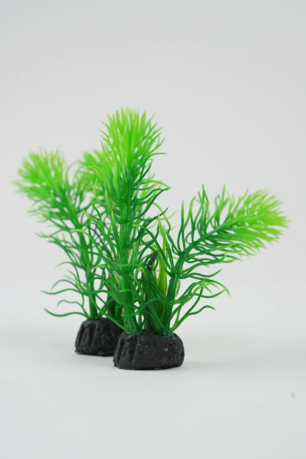 Plante Decorative Pentru Acvariu Verdeață (Verde/Mov 10Cm)