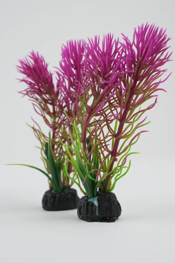 Plante Decorative Pentru Acvariu Verdeață (Verde/Mov 10Cm) - imagine 2