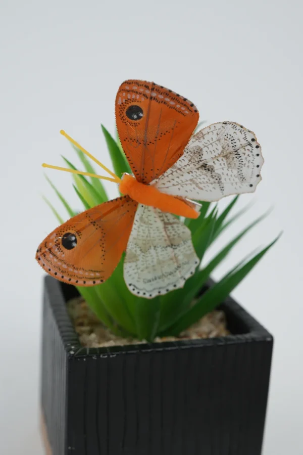 Fluturi Decorativi Cu Agrafă - imagine 5