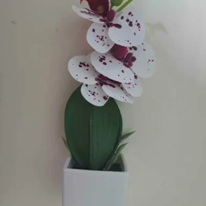 ORHIDEE DECORATIVA IN GHIVECI