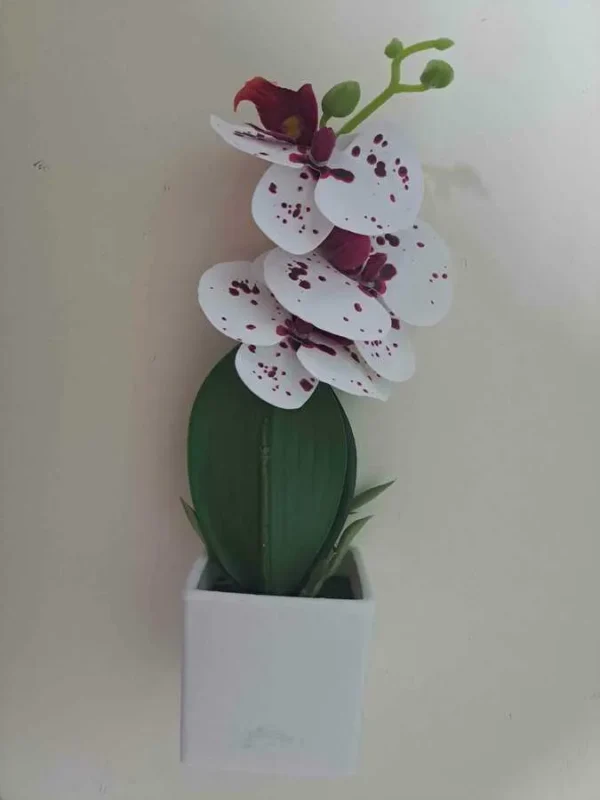 ORHIDEE DECORATIVA IN GHIVECI