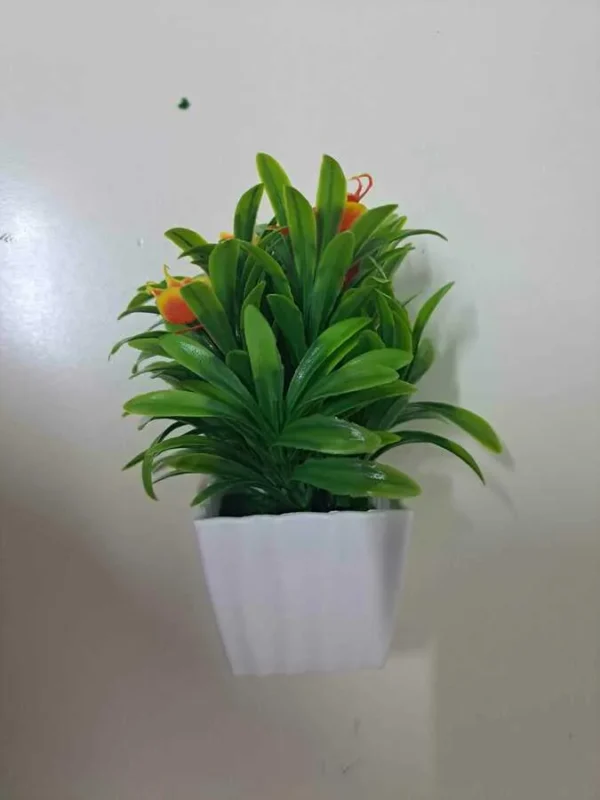 PLANTA DECORATIVA IN GHIVECI