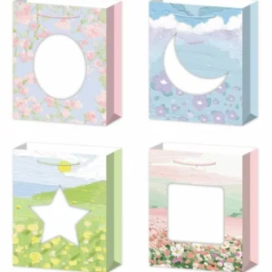 31*40*12CM - PUNGA CADOU