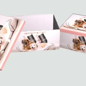 CUTIE CADOU 10PCS