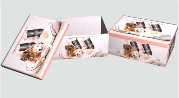 CUTIE CADOU 10PCS
