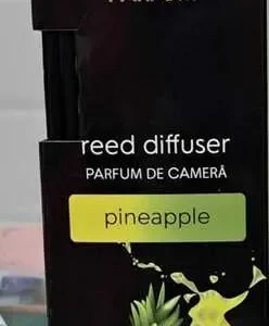 ODORIZANT CAMERA ANDOLA 100ML ANANAS