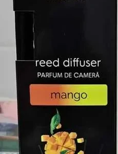 ODORIZANT CAMERA ANDOLA 100ML MANGO