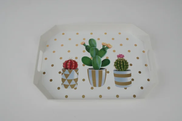 Tavă Pentru Servit (Model Cactus) - imagine 4