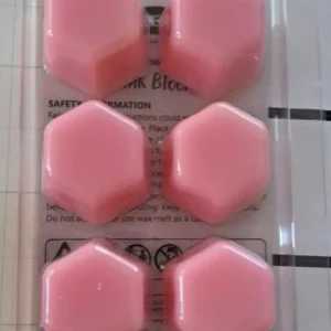 CEARA PARFUMATA PINK BLOOM 48G